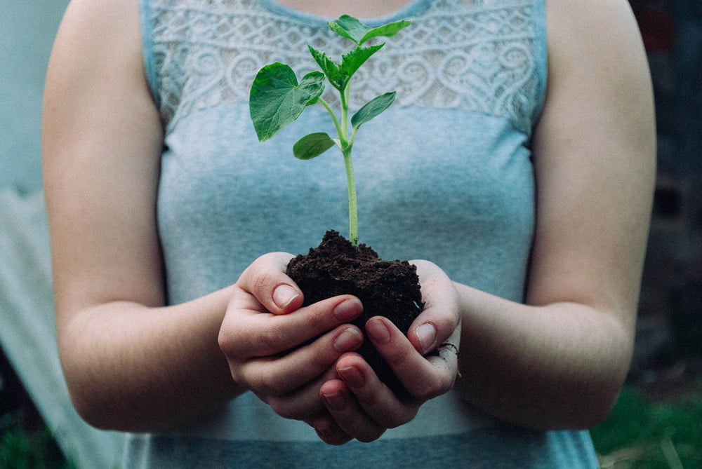 apporter de la valeur plante